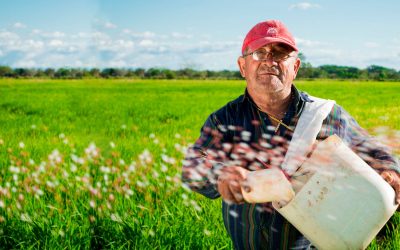 Economía Social y Solidaria como una puerta hacia la reconciliación y el fortalecimiento de la paz