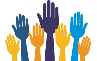 La organización solidaria ¿una empresa participativa y democrática?