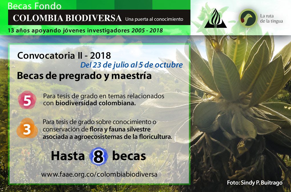 Estudiantes universitarios recuerden que está abierta la convocatoria II-2018 de las Becas Colombia Biodiversa