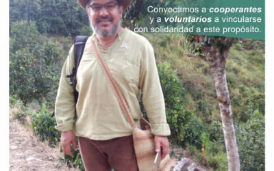 Construcción terrazas de cultivo