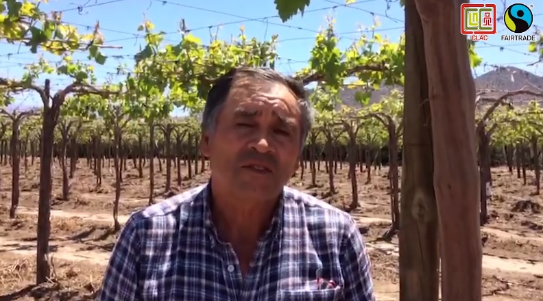 Testimonio del pequeño productor de uva, Carlos Leiva, de MI FRUTA (Chile)