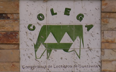 Los invitamos a revisar el video de la Cooperativa Colega, de Guatavita Colombia
